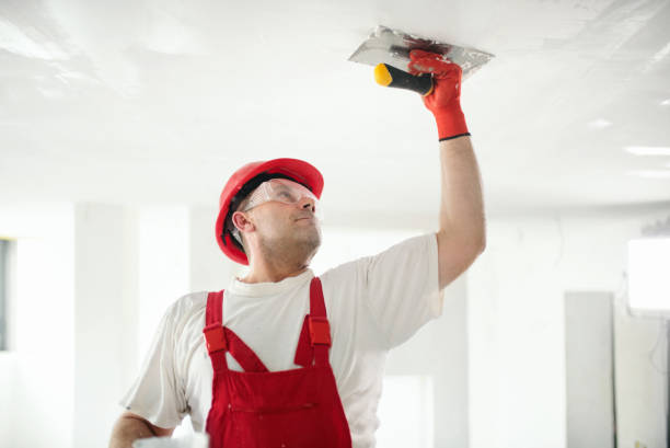 Best Drywall Crack Repair  in Lexington, IL